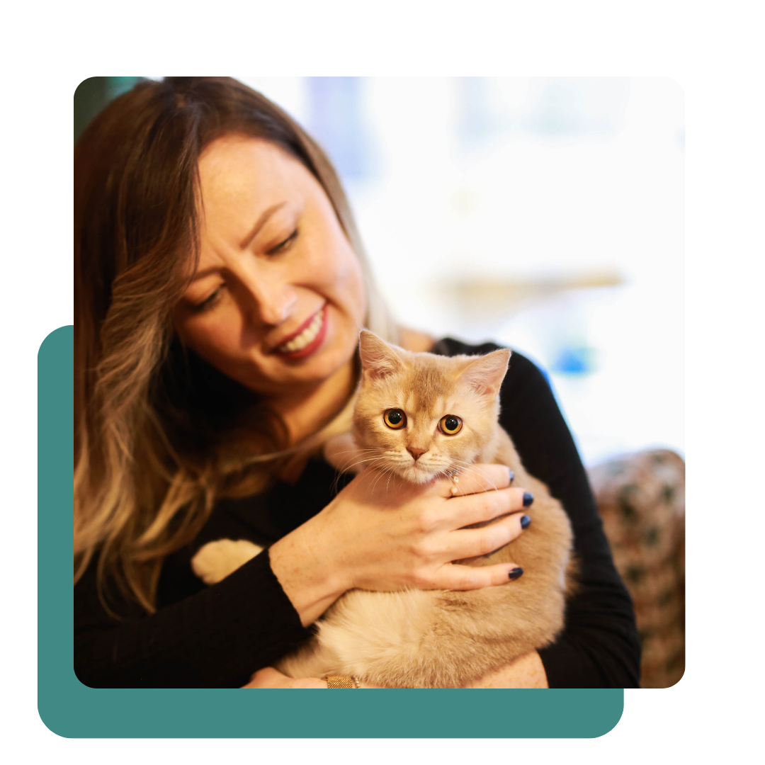 telemedicina para pets